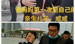 郭家公子圈内爆料,一场权力与欲望的较量